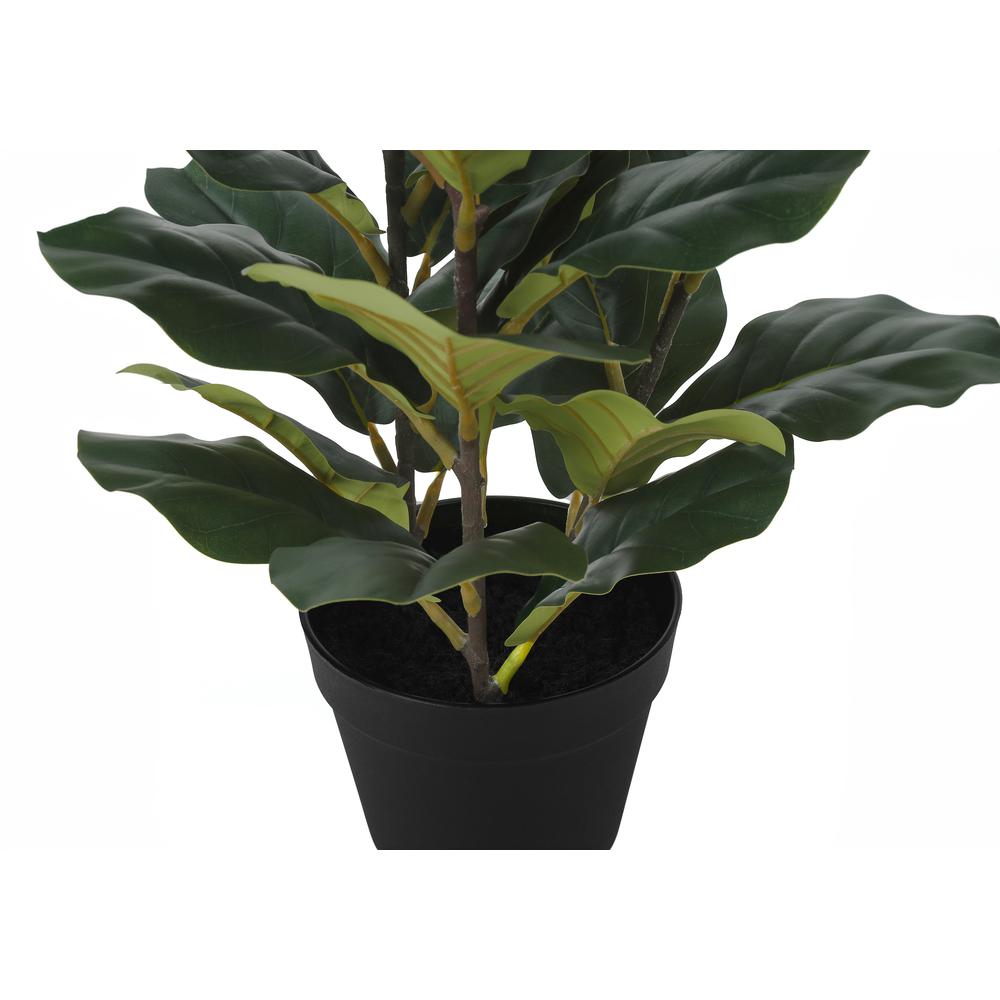 Artificial Plant, 32 Tall, Fiddle Tree, Indoor, Faux, Fake, Floor, Greenery. Picture 2