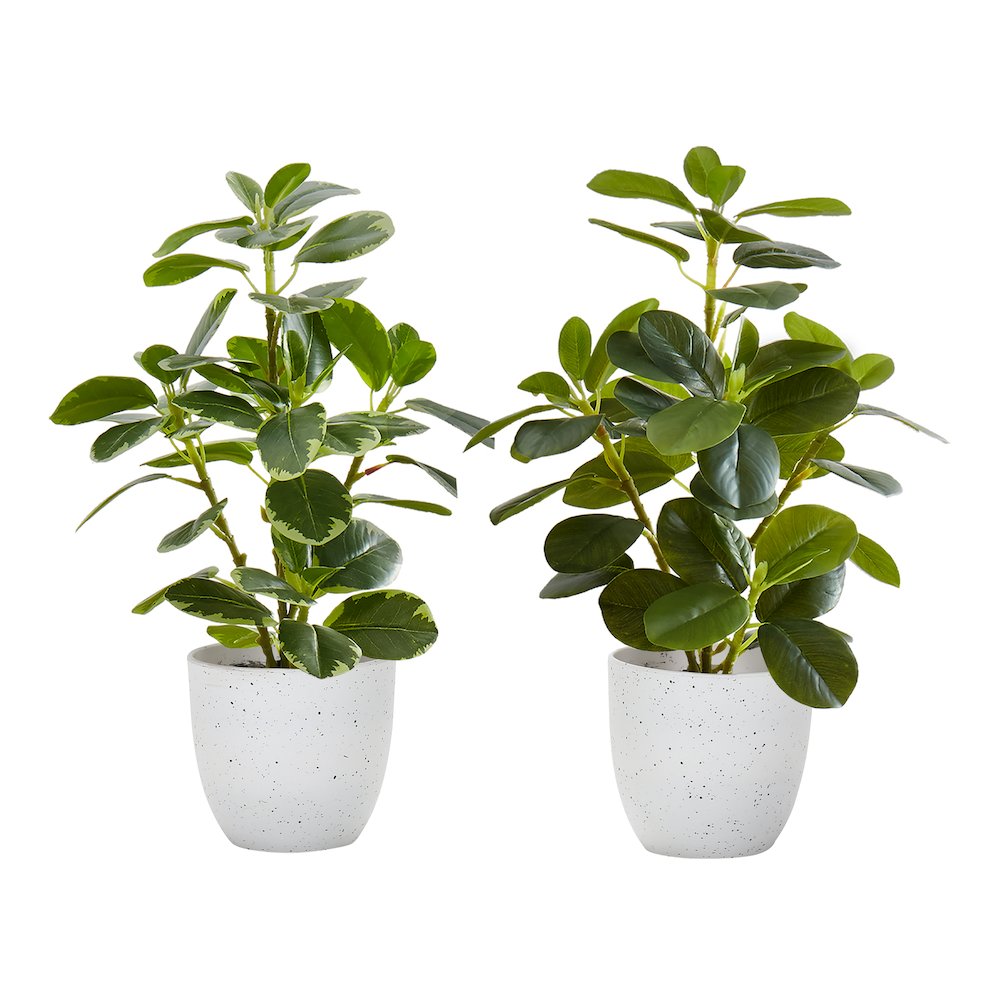 Artificial Plant, 14" Tall, Ficus, Indoor, Faux, Table, Greenery, Set Of 2. Picture 1