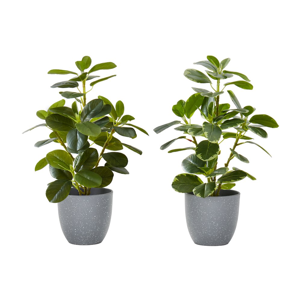 Artificial Plant, 14" Tall, Ficus, Indoor, Faux, Table, Greenery, Set Of 2. Picture 1