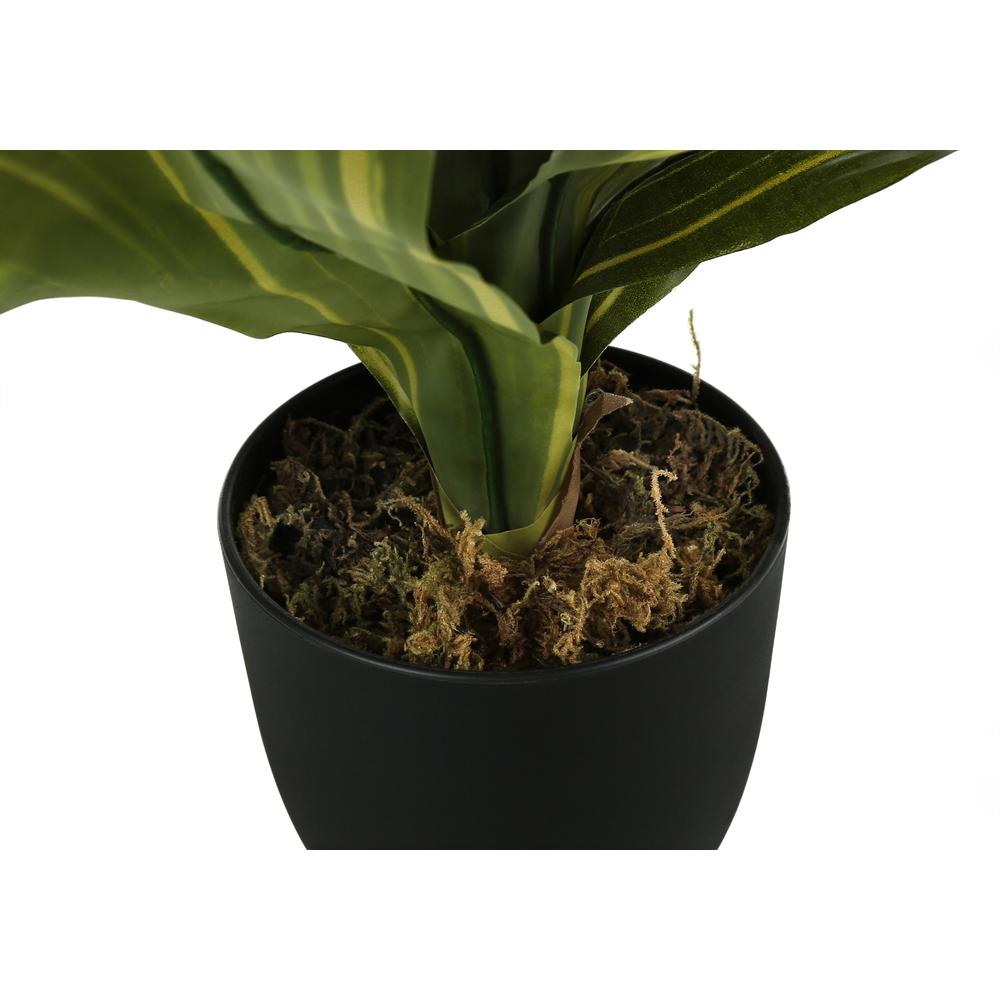 Artificial Plant, 17 Tall, Dracaena, Indoor, Faux, Fake, Table, Greenery. Picture 2