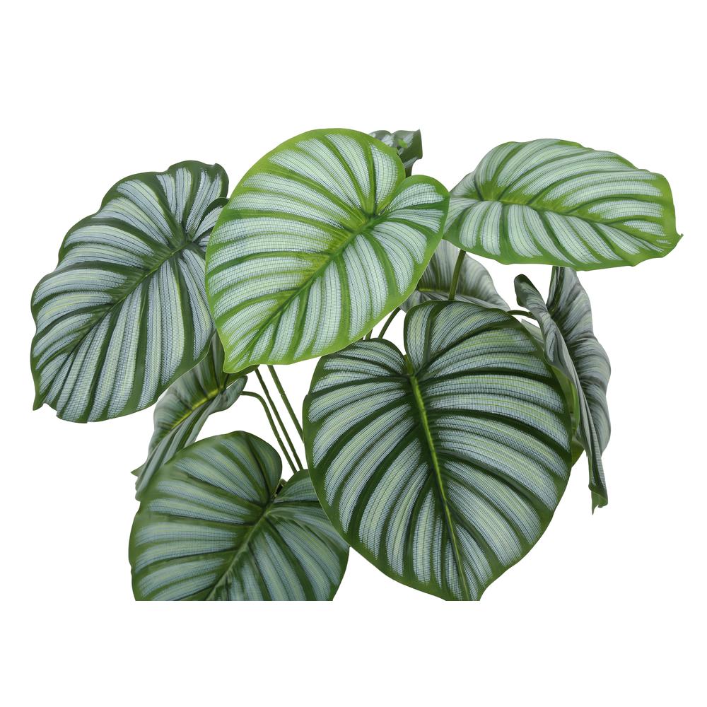Artificial Plant, 24 Tall, Calathea, Indoor, Faux, Fake, Table, Greenery. Picture 4