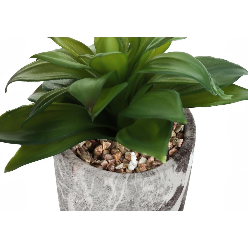 Artificial Plant, 6 Tall, Succulent, Indoor, Faux, Fake, Table, Greenery. Picture 3