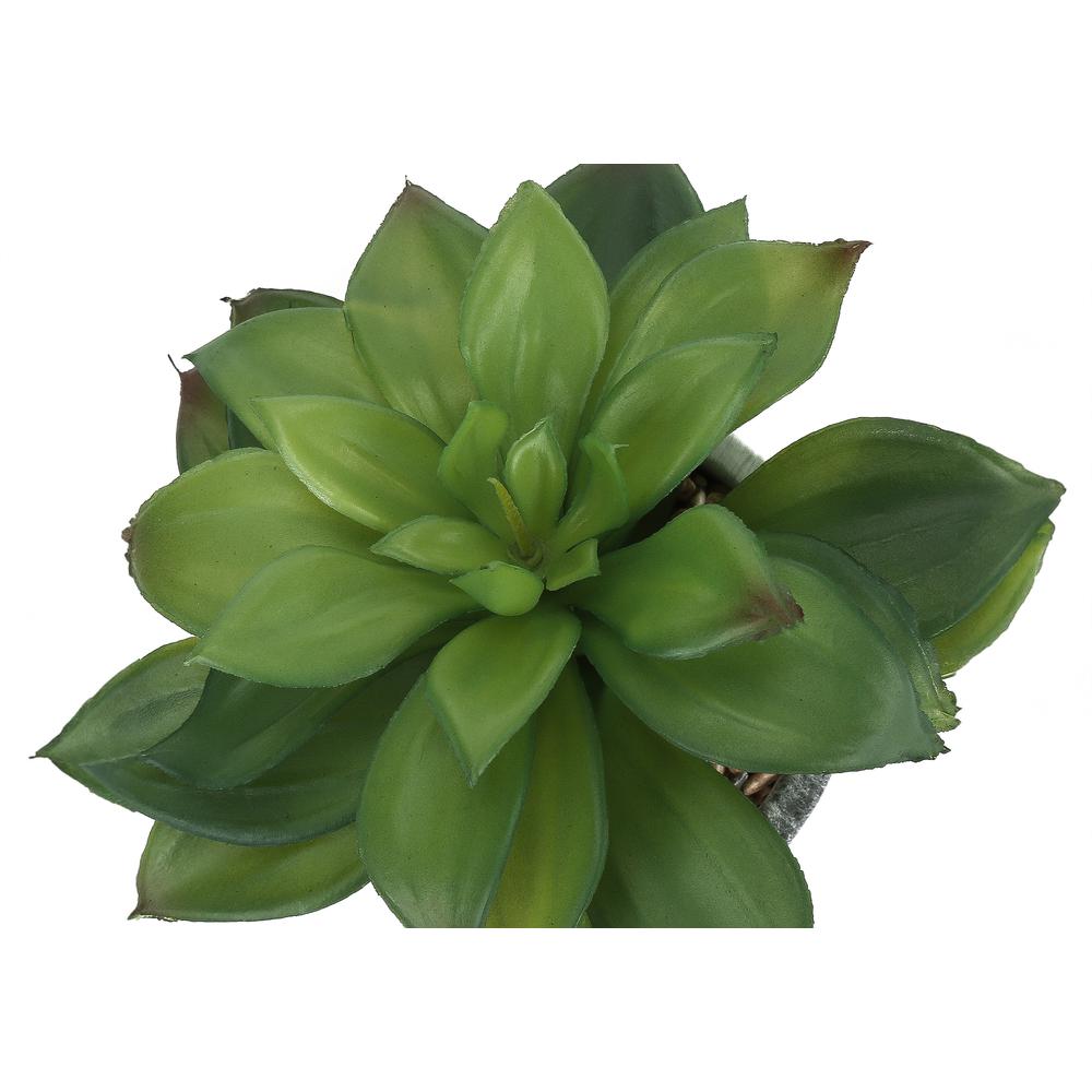 Artificial Plant, 6 Tall, Succulent, Indoor, Faux, Fake, Table, Greenery. Picture 4