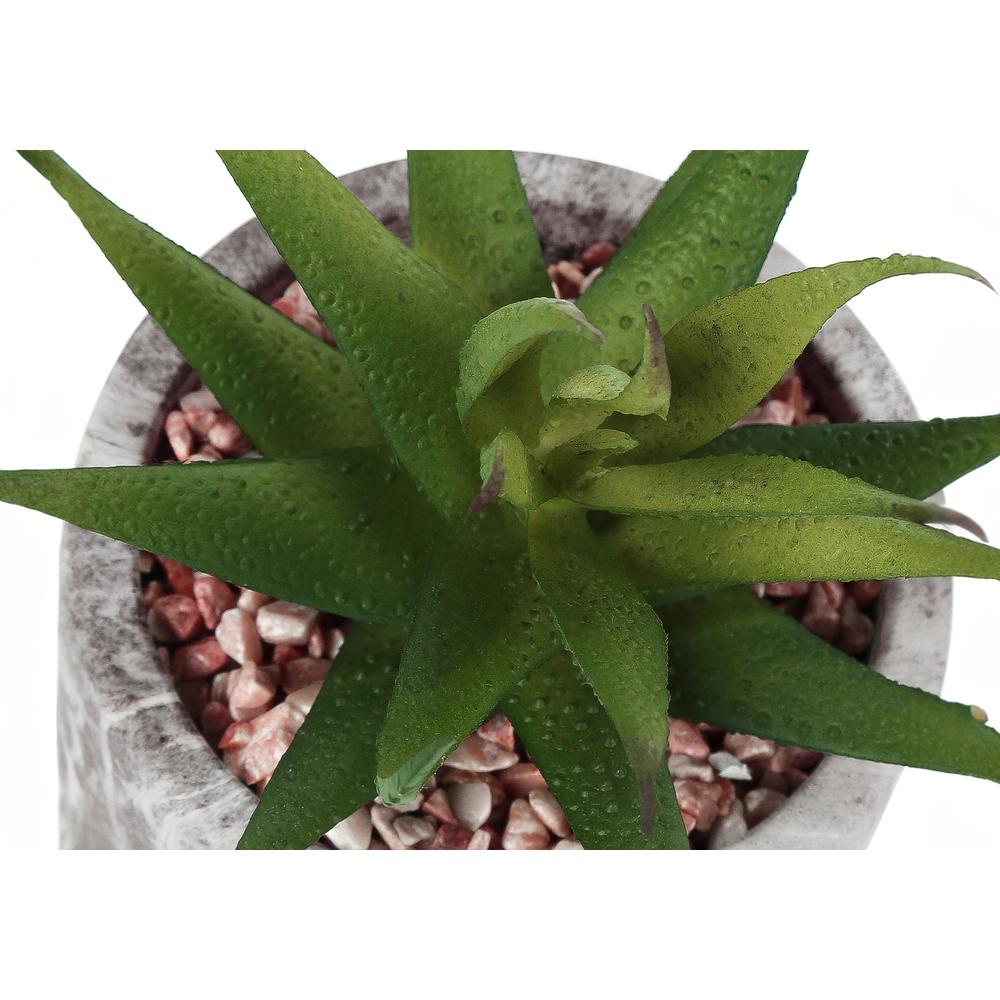 Artificial Plant, 6 Tall, Succulent, Indoor, Faux, Fake, Table, Greenery. Picture 5