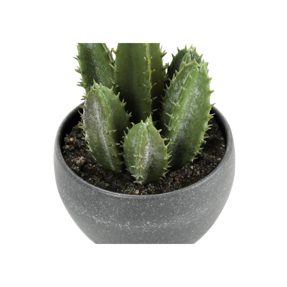 Artificial Plant, 6 Tall, Succulent, Indoor, Faux, Fake, Table, Greenery. Picture 3