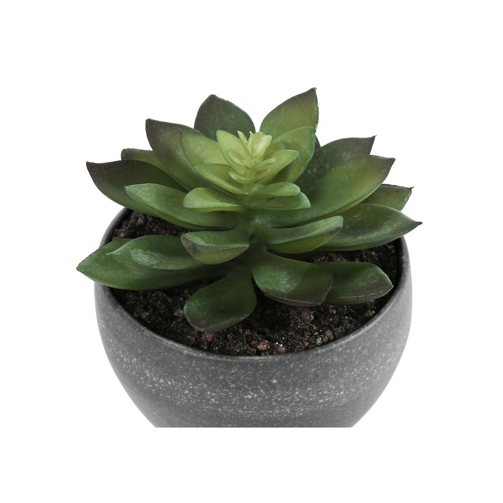 Artificial Plant, 6 Tall, Succulent, Indoor, Faux, Fake, Table, Greenery. Picture 4