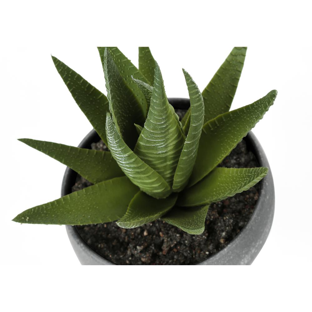 Artificial Plant, 6 Tall, Succulent, Indoor, Faux, Fake, Table, Greenery. Picture 5
