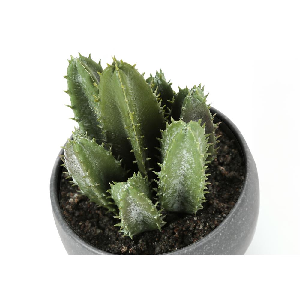 Artificial Plant, 6 Tall, Succulent, Indoor, Faux, Fake, Table, Greenery. Picture 6