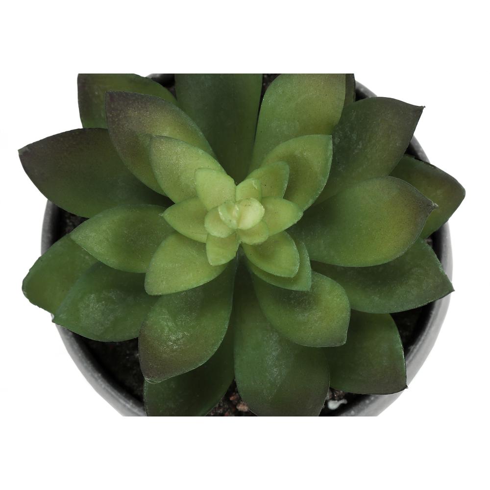 Artificial Plant, 6 Tall, Succulent, Indoor, Faux, Fake, Table, Greenery. Picture 7