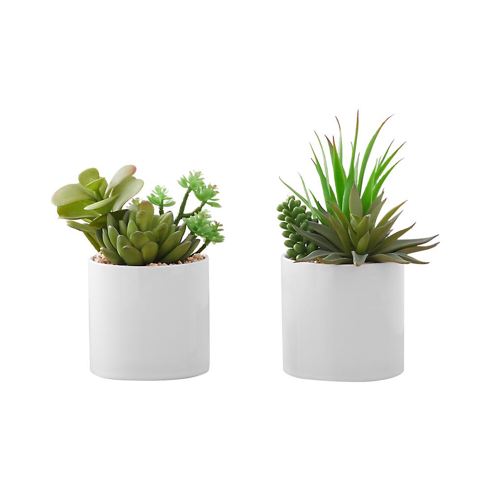 Artificial Plant, 7 Tall, Succulent, Indoor, Faux, Fake, Table, Greenery. Picture 1