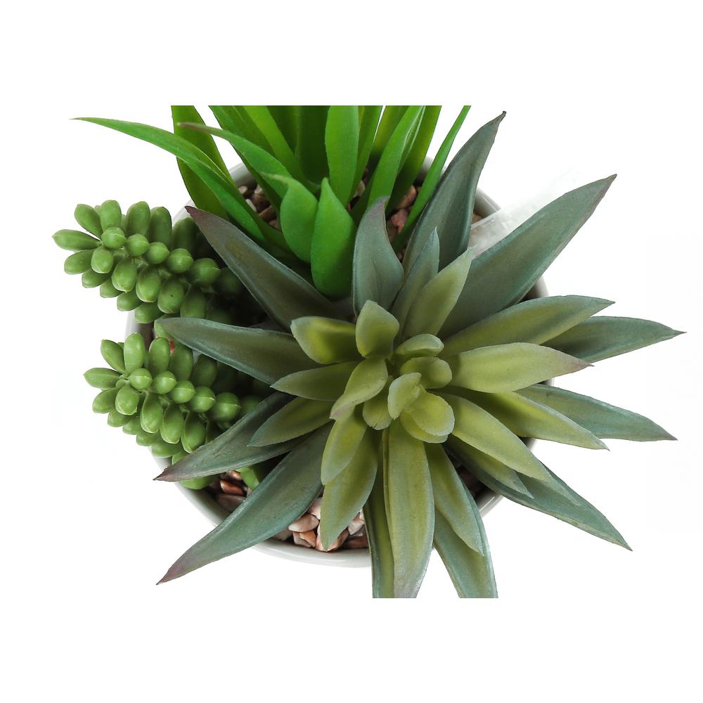 Artificial Plant, 7 Tall, Succulent, Indoor, Faux, Fake, Table, Greenery. Picture 4