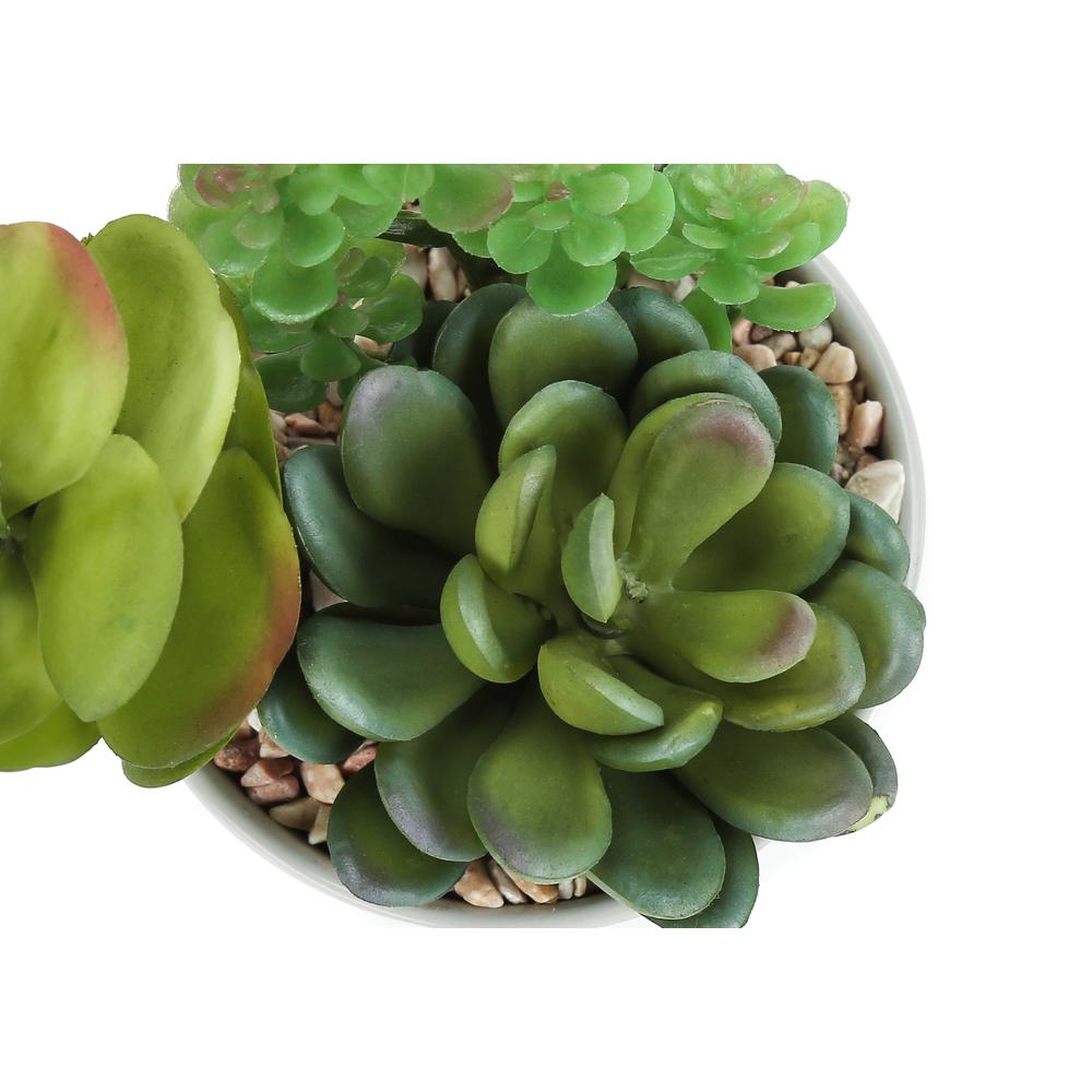 Artificial Plant, 7 Tall, Succulent, Indoor, Faux, Fake, Table, Greenery. Picture 5