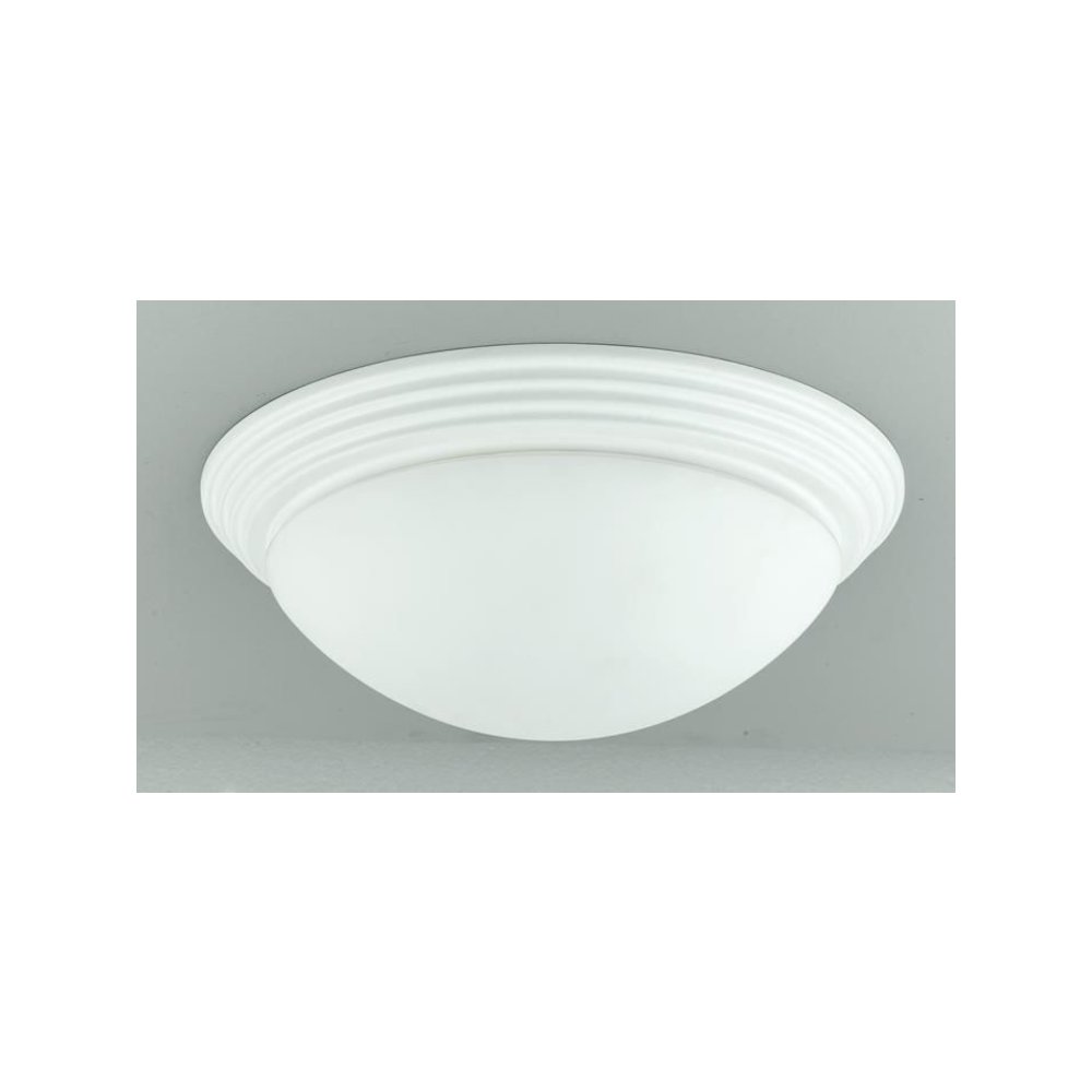 75W X 2 Ceiling Lamp. Picture 2