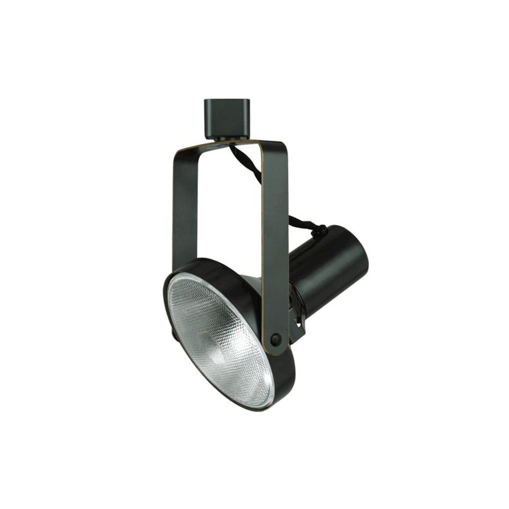 120V,Par38,90W Track Head. Picture 1