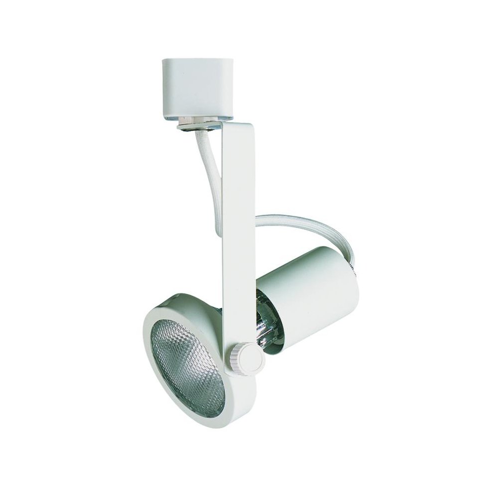 Line Voltage Fixture, Par 20, HT240WH. Picture 1