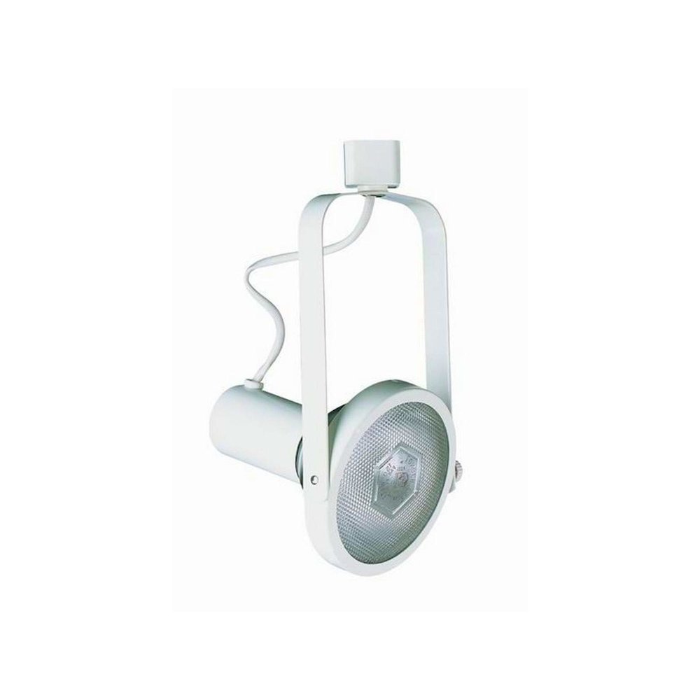 LINE VOLTAGE FIXTURE,PAR 30, 2 WIRE. Picture 2