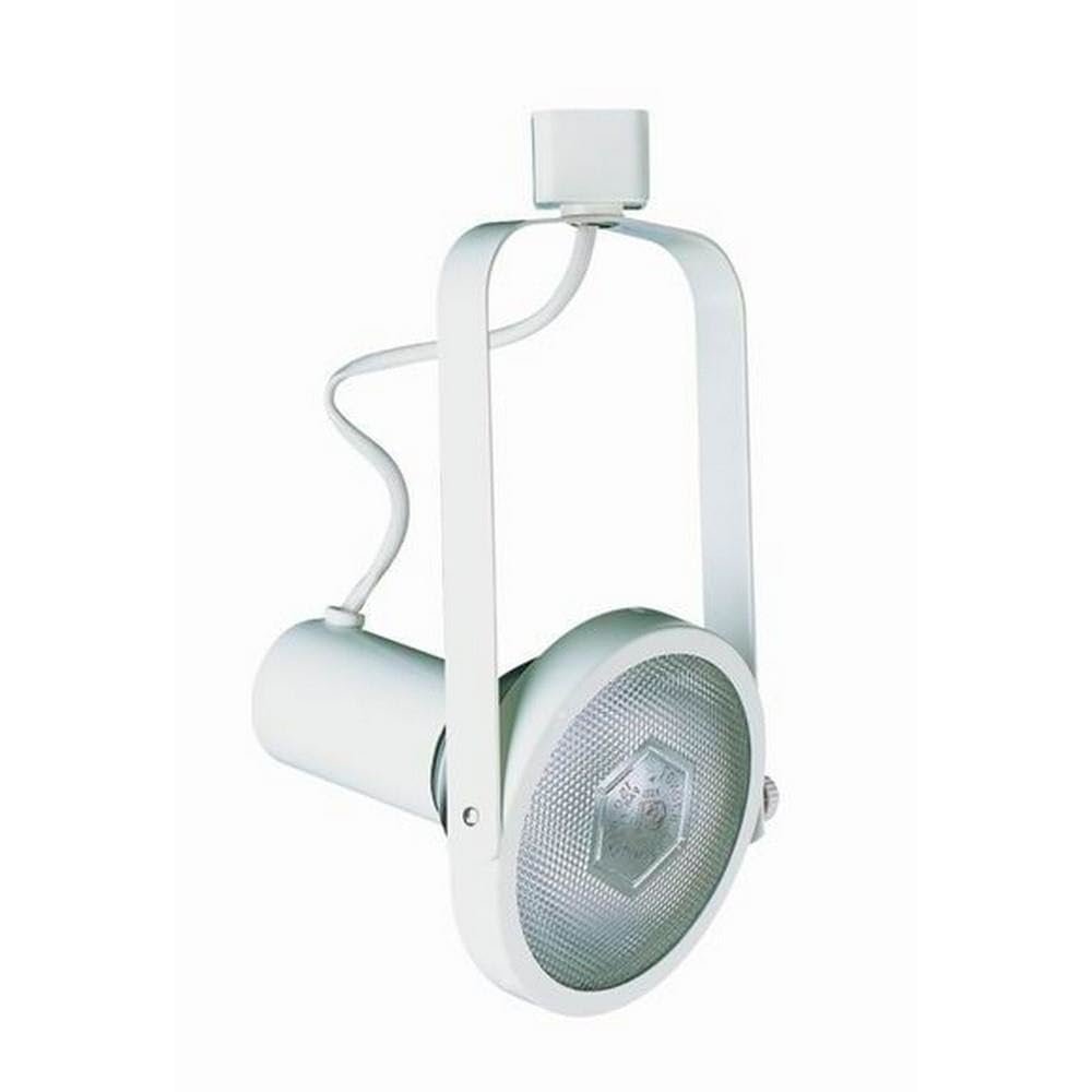 LINE VOLTAGE FIXTURE,PAR 30, 2 WIRE. Picture 1