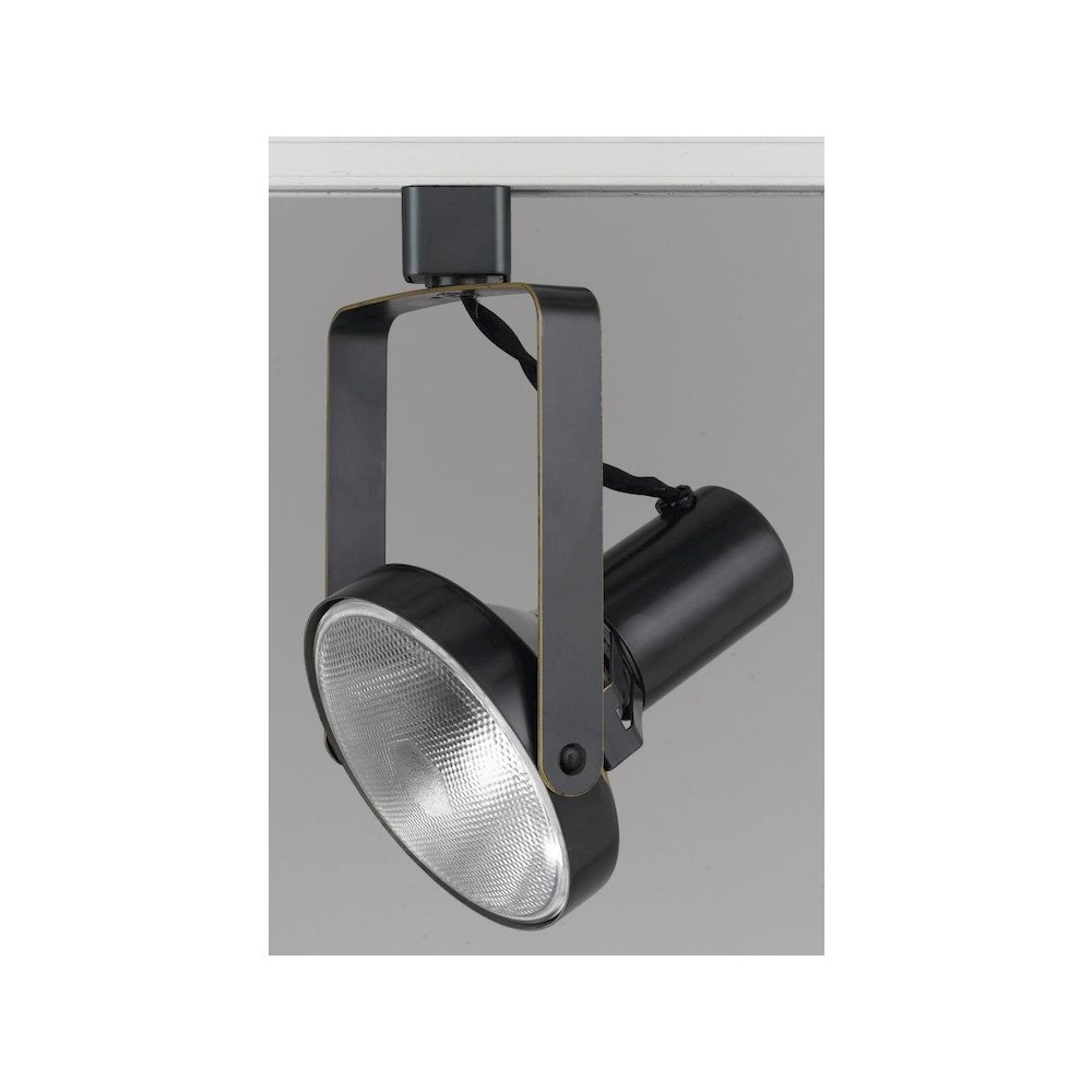 120V,Par38,90W Max., HT203BS. Picture 1