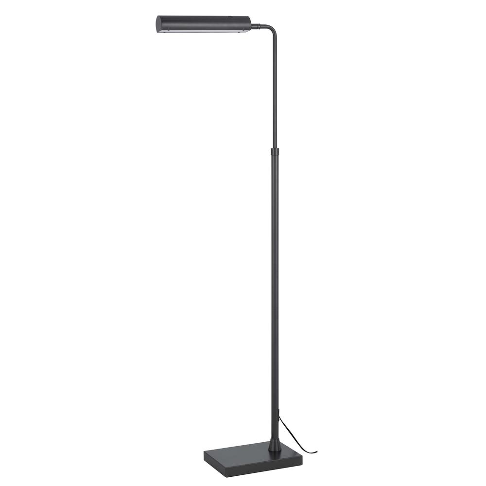 Delray 17W, 3000K Non Dimmable Integrated Led Metal Floor Lamp. Picture 1