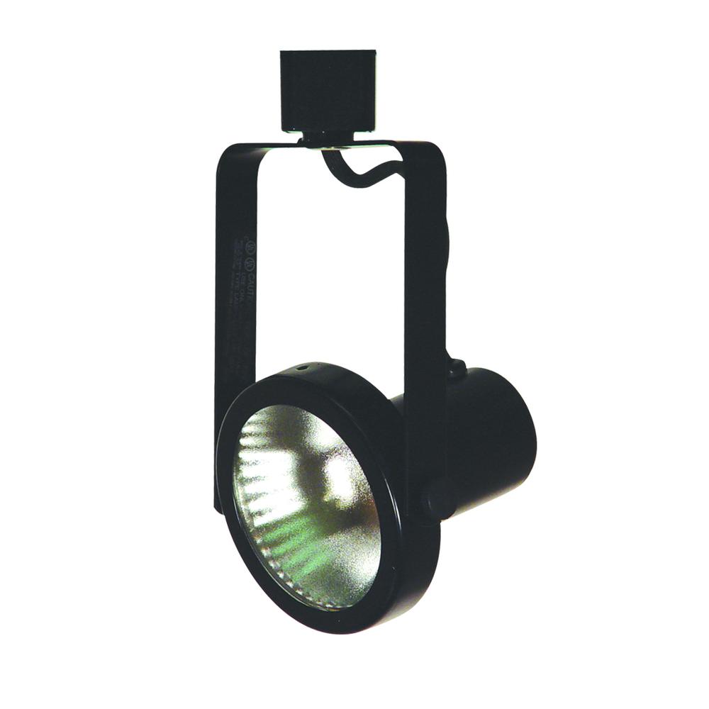 Line Voltage Fixture,Par 38. Picture 1
