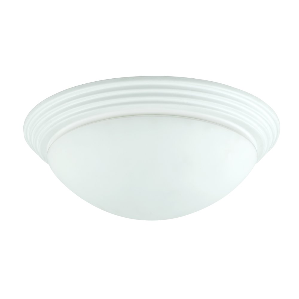 60W X 2 Ceiling Lamp. Picture 1