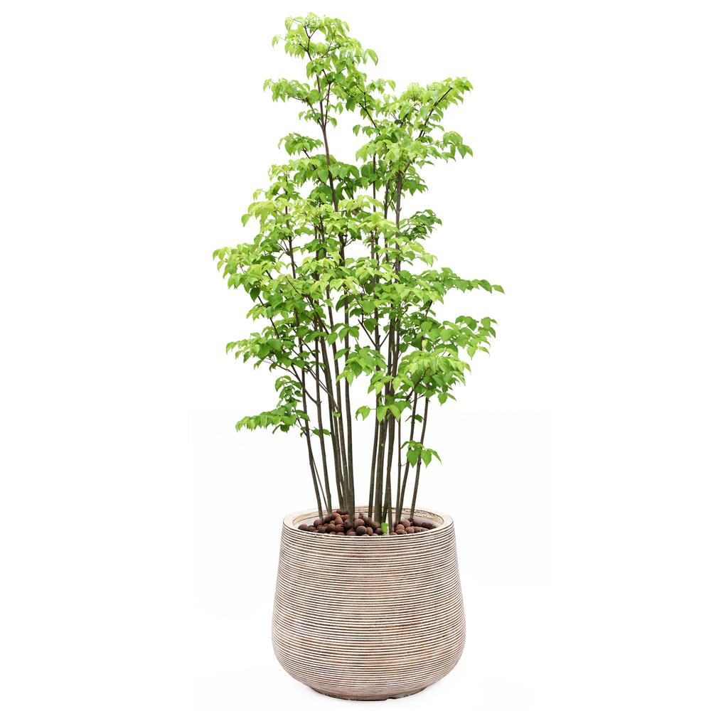Distressed Tan MgO Tapered Round Planter. Picture 8
