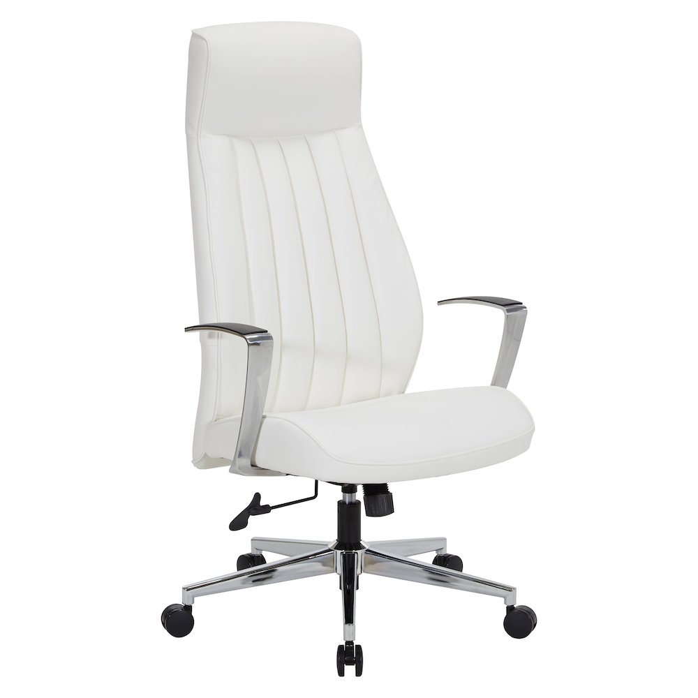 High-Back Ion Technology in Dillon snow Chair with Fixed Padded Aluminum Arms. Picture 1