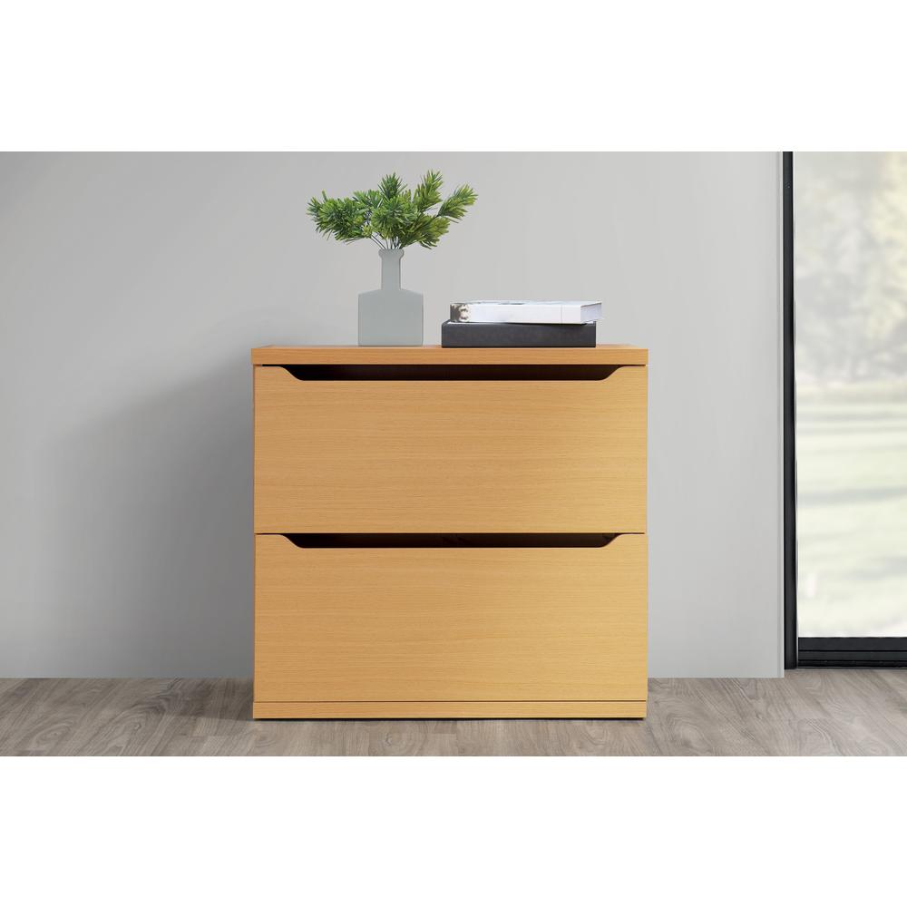 Denmark Lateral File. Picture 7