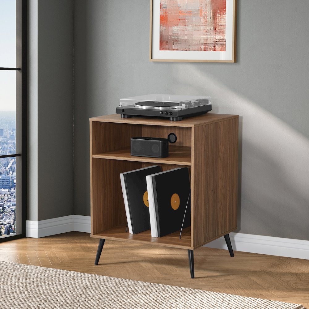 Retro Record Player Stand w/ Album. Picture 8