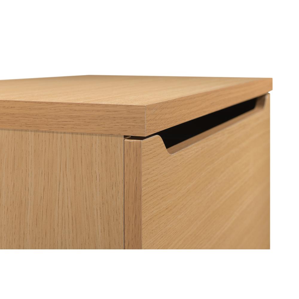 Denmark Lateral File. Picture 9