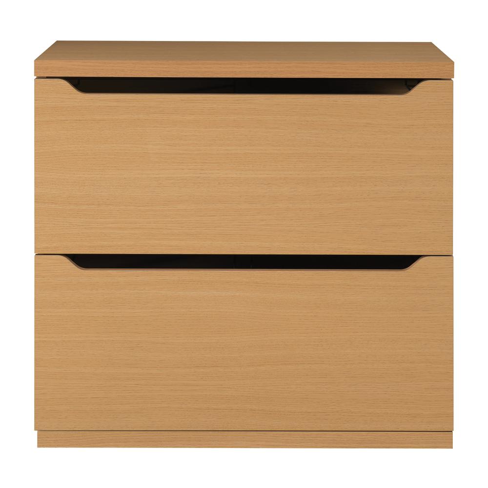Denmark Lateral File. Picture 1