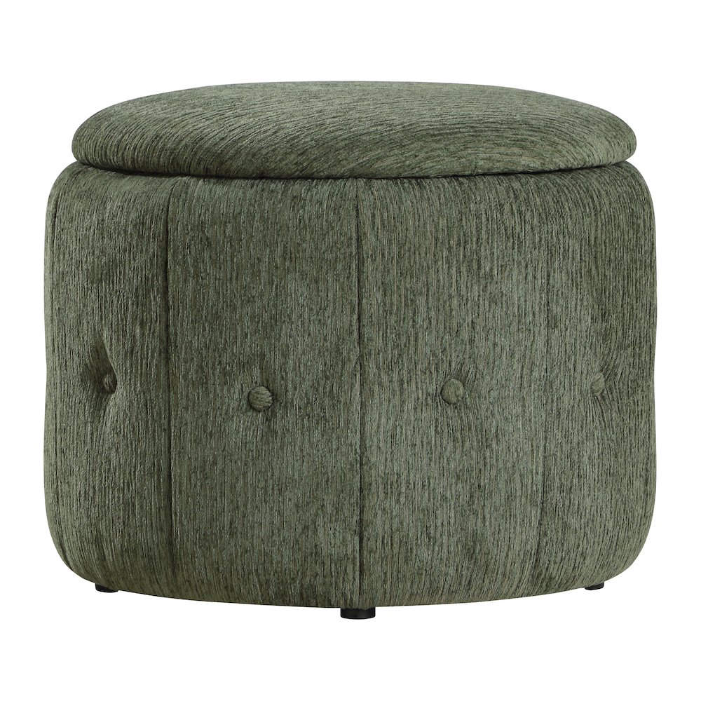 Brayfield Storage Ottoman. Picture 1