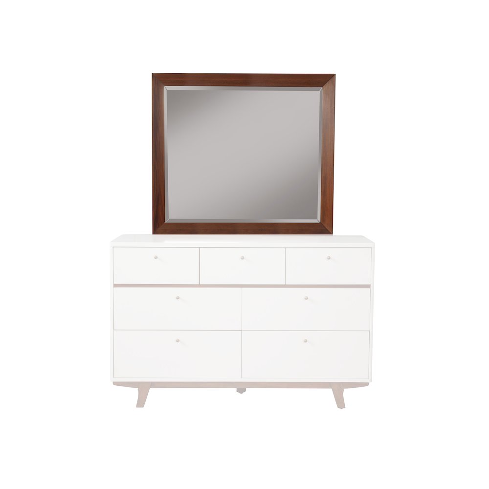 Dakota Mirror. Picture 1