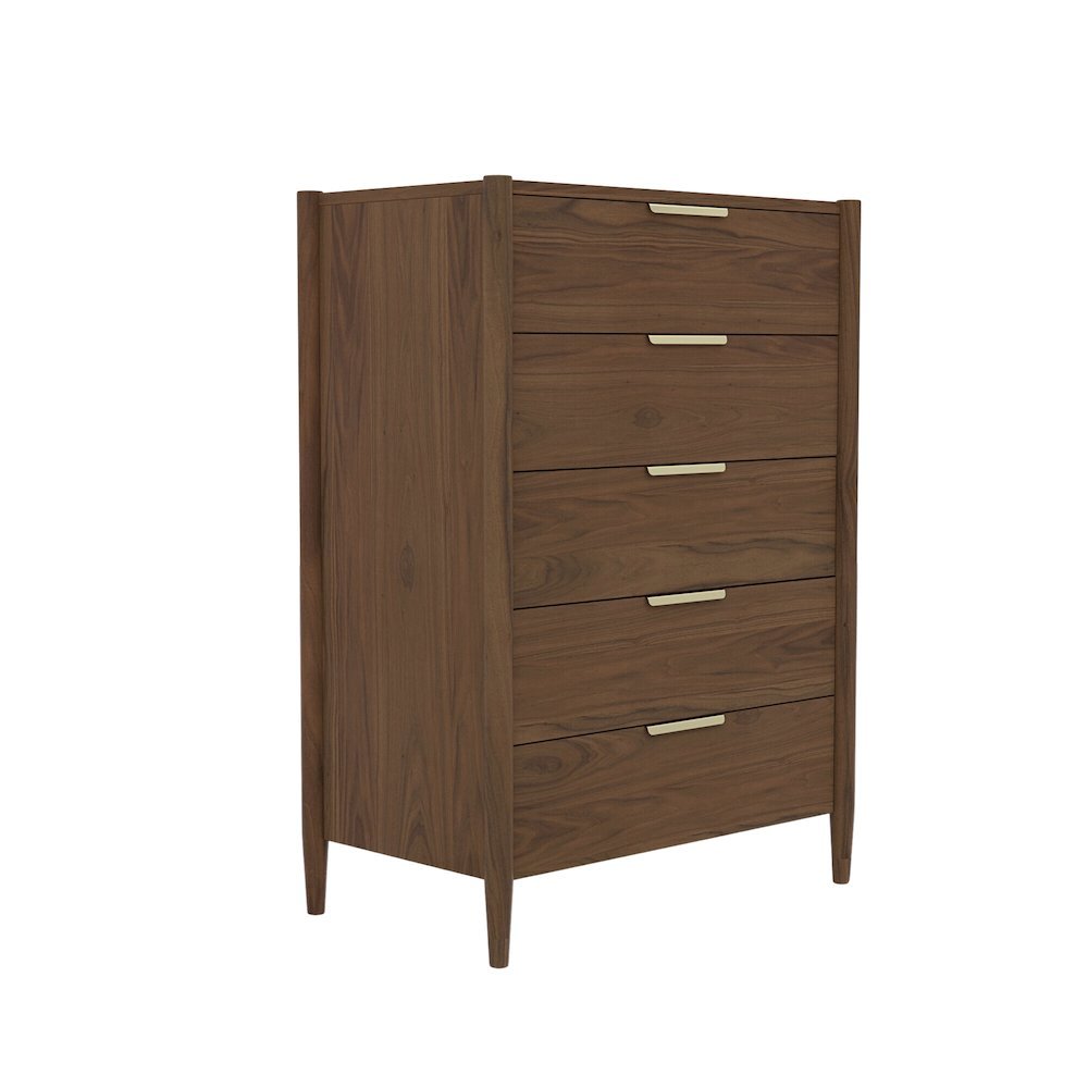Walnut Accent Chest with Modern Contemporary Design and Spacious Drawer. Picture 1