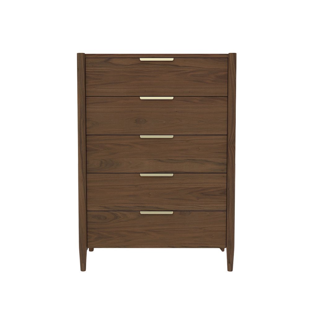 Walnut Accent Chest with Modern Contemporary Design and Spacious Drawer. Picture 4