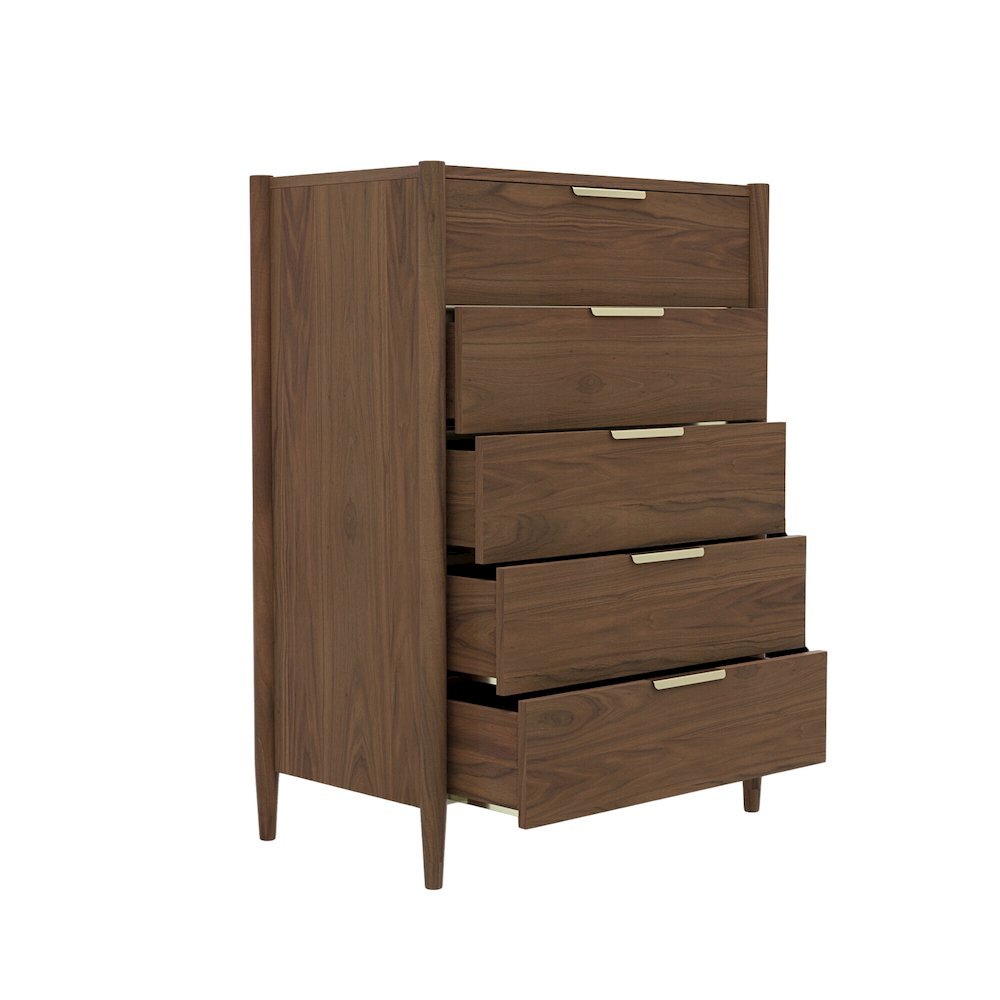 Walnut Accent Chest with Modern Contemporary Design and Spacious Drawer. Picture 6