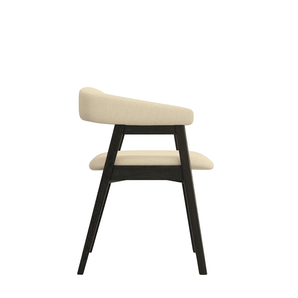 Cove Curved Back Chairs, Vintage Black (Set of 2). Picture 5