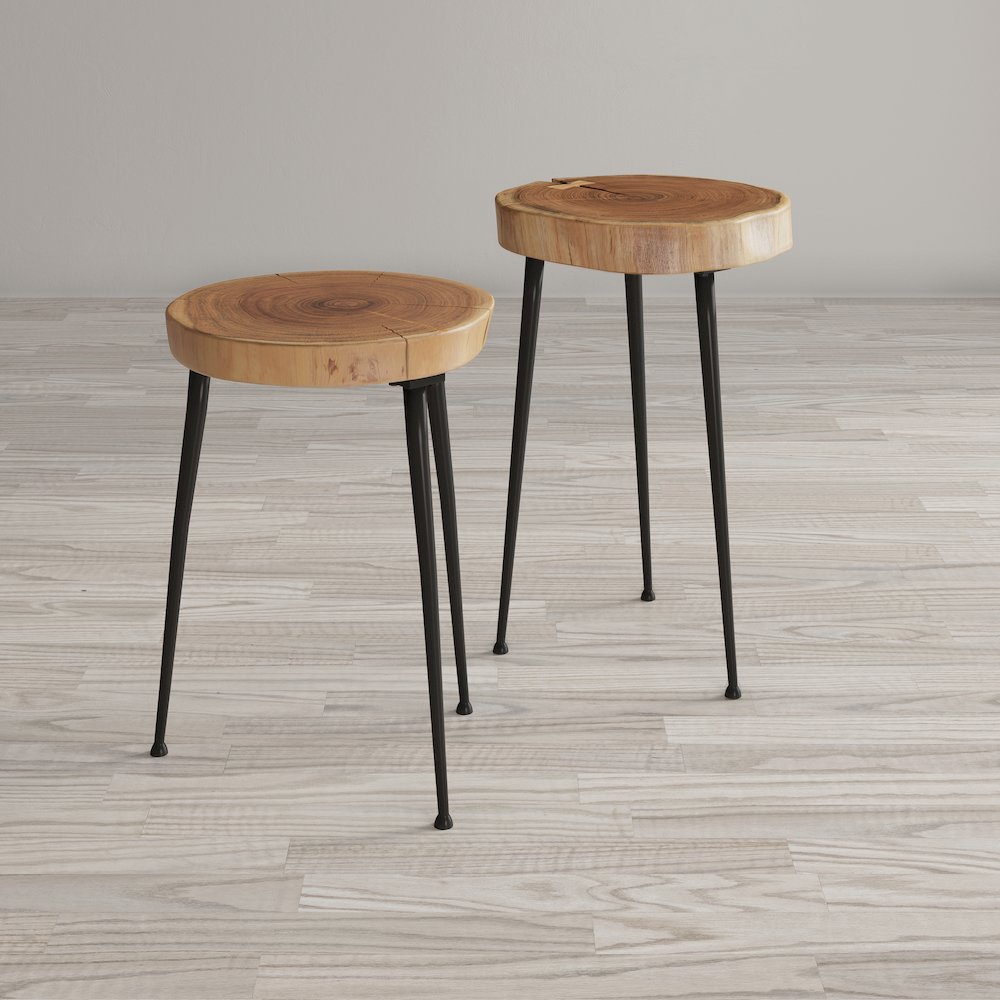 Global Archive Flat-Pack Wood and Iron Accent Tables (Set of 2). Picture 2