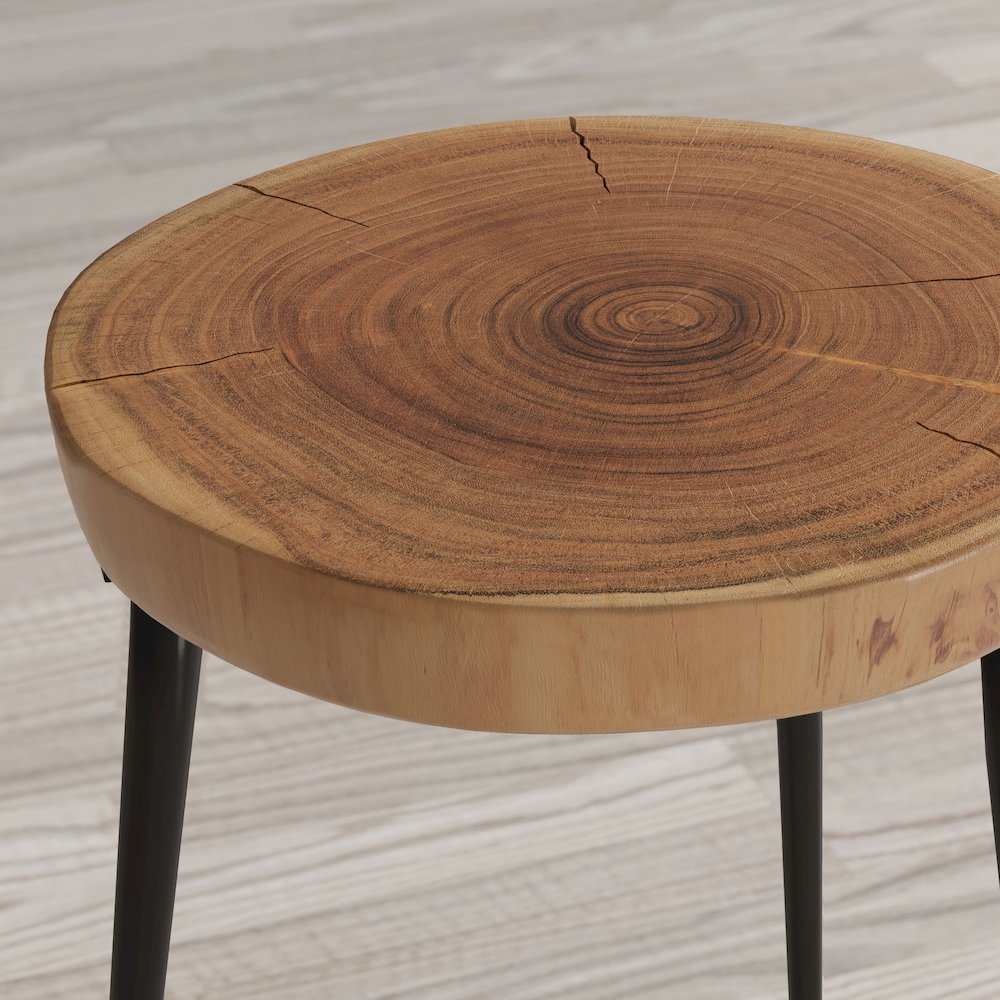 Global Archive Flat-Pack Wood and Iron Accent Tables (Set of 2). Picture 4