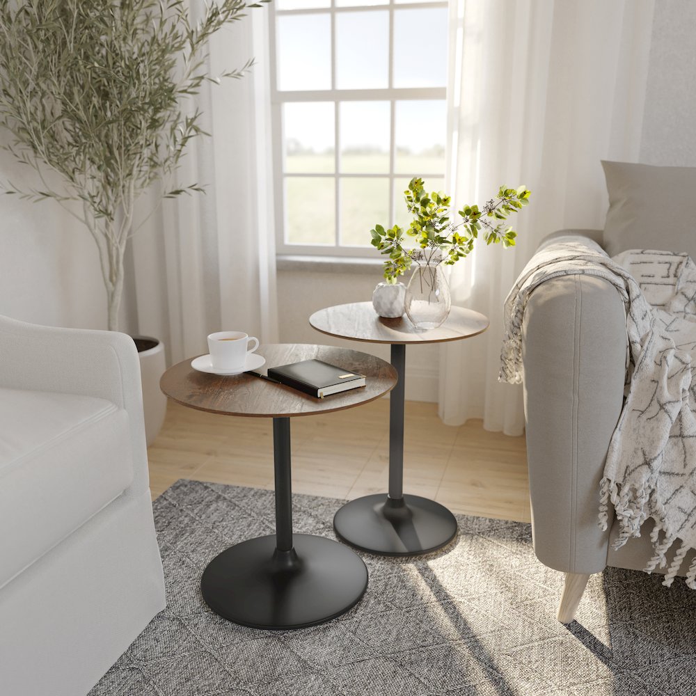 Remy Solid Wood and Iron Modern Pedestal Accent Tables (Set of 2). Picture 2