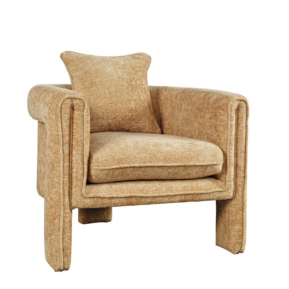 Adley Modern Upholstered Vintage Accent Armchair with Pillow. Picture 2