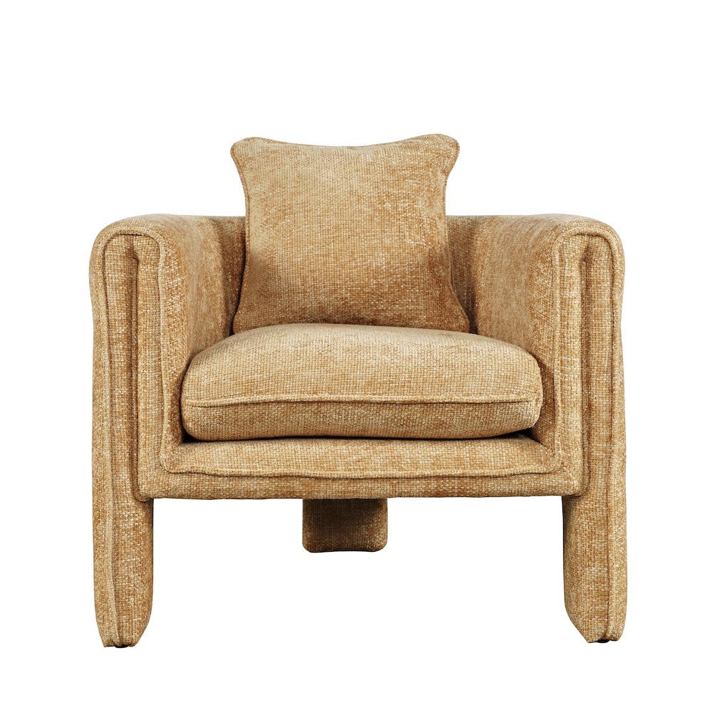 Adley Modern Upholstered Vintage Accent Armchair with Pillow. Picture 1