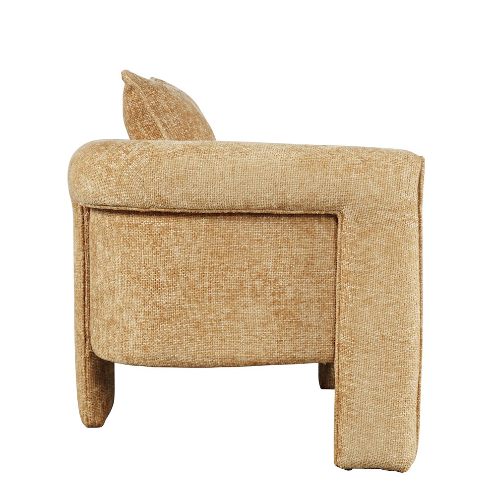 Adley Modern Upholstered Vintage Accent Armchair with Pillow. Picture 3