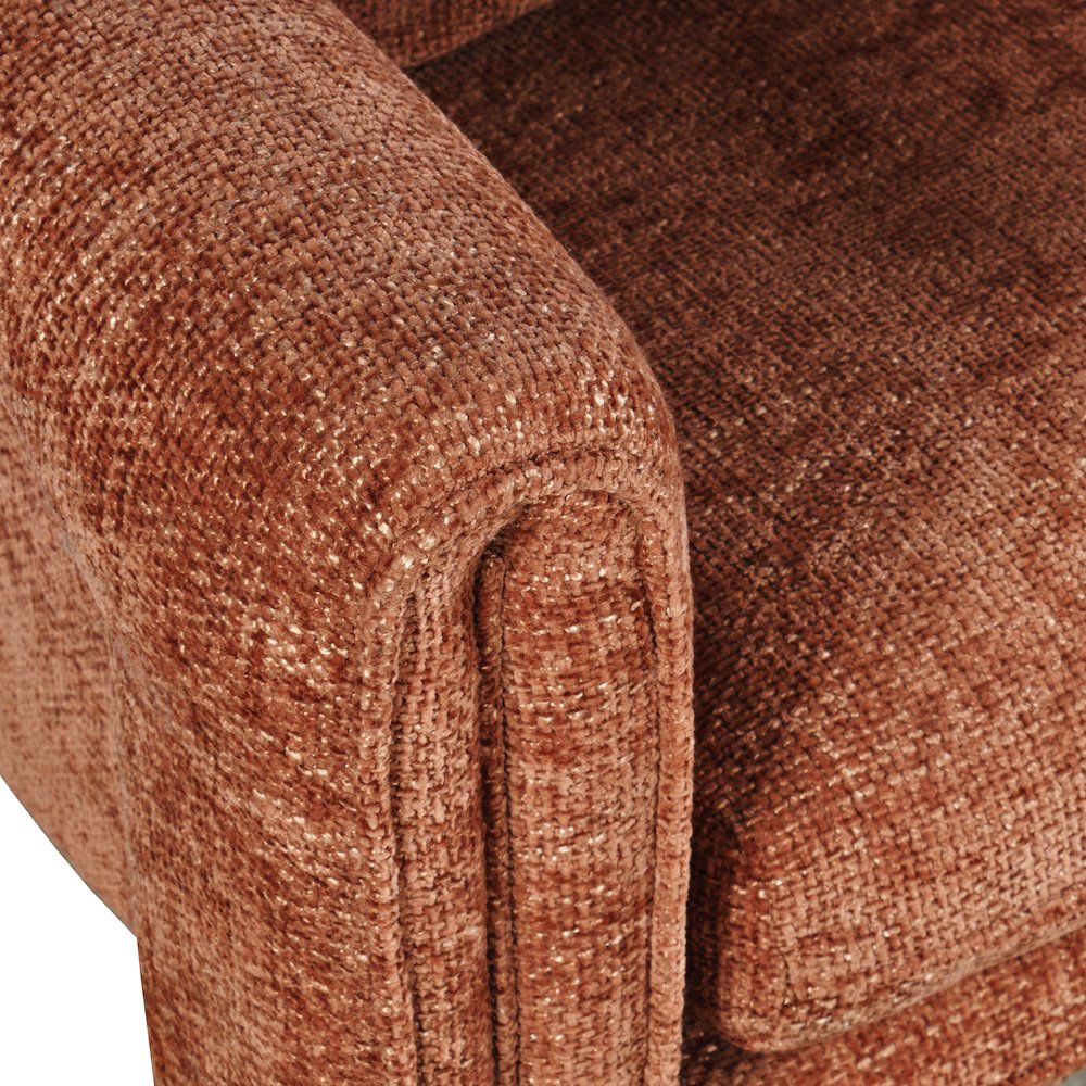 Adley Modern Upholstered Vintage Accent Armchair with Pillow. Picture 5