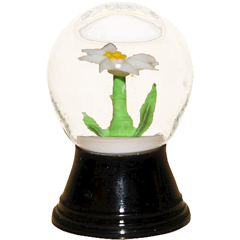 Snowglobe - Mini Edelweiss. Picture 1