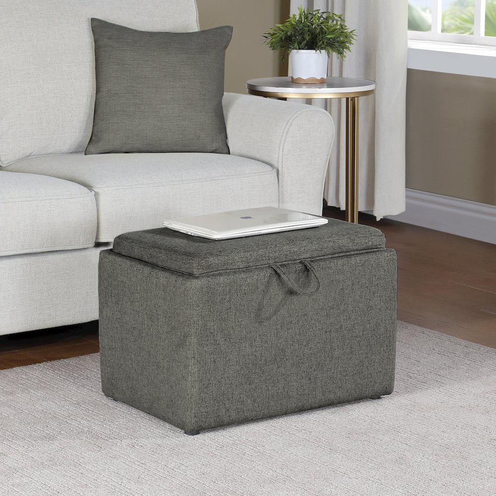 Designs4Comfort Accent Storage Ottoman with Reversible Tray. Picture 7