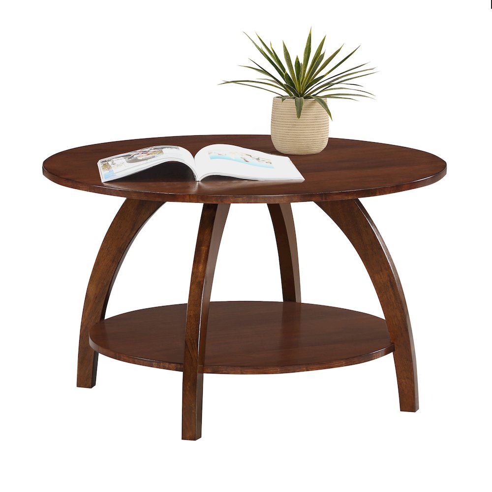 Aldrin Coffee Table with Shelf. Picture 3
