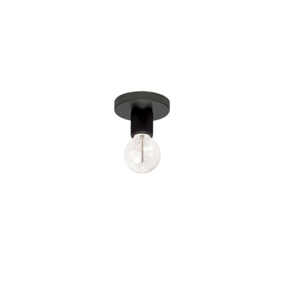 1LT Flush Mount, MB. Picture 1