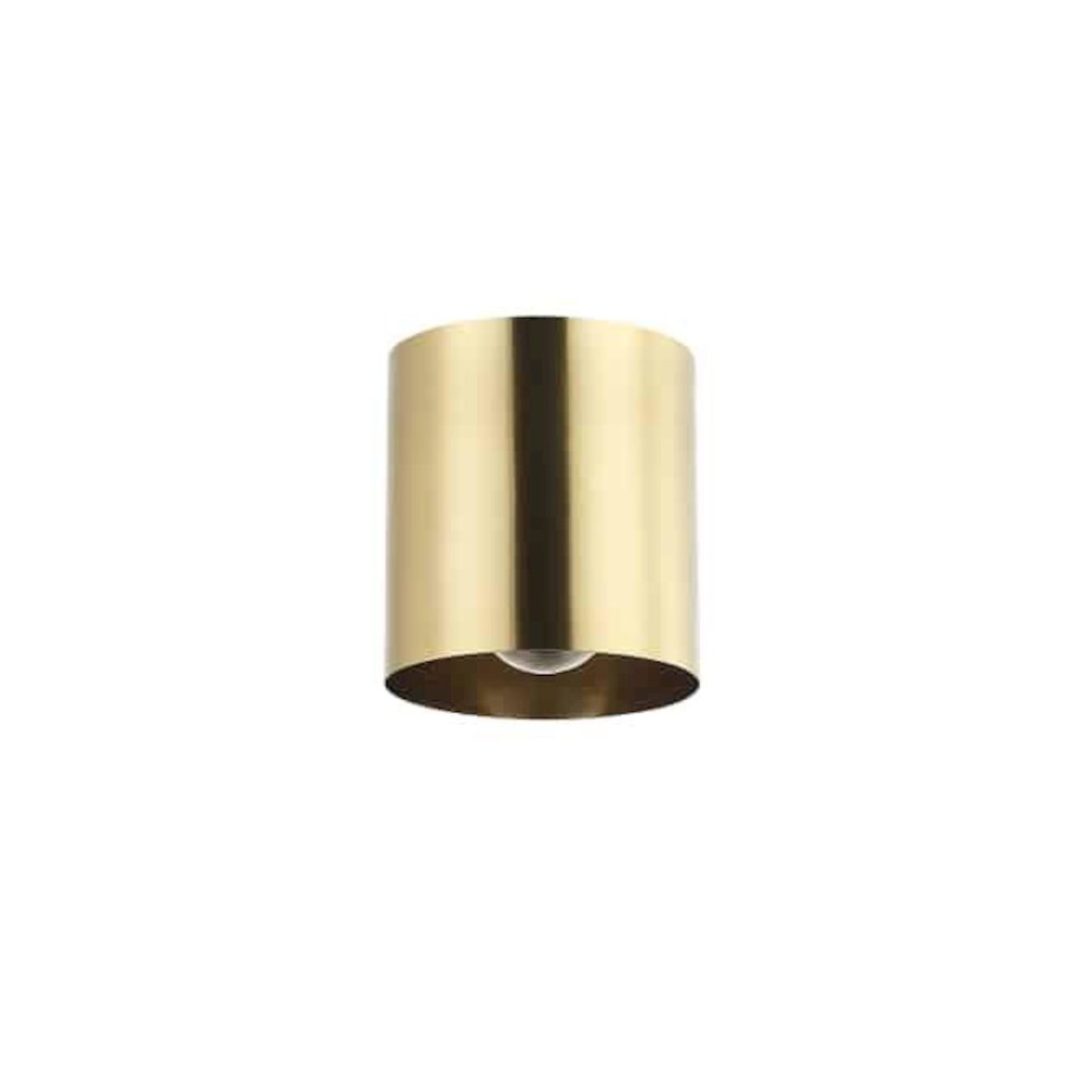 1LT Flush Mount,  AGB. Picture 1