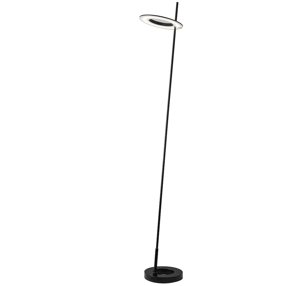 20W Floor Lamp Matte Black. Picture 1